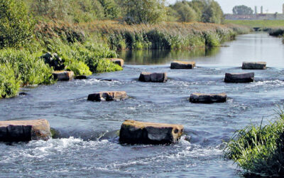 Fish ladder instead of a moor