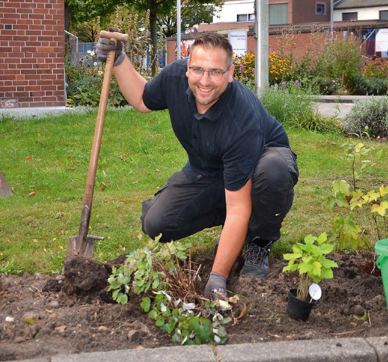 Kevin Klahr aus der Technikabteilung pflanzt im Rahmen einer gemeinsamen Aktion der Mitarbeiter im Hafengarten von NPorts in Brake eine Hibiskuspflanze ein. 